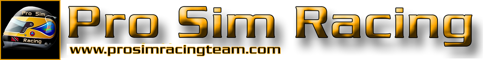 Pro Sim Racing Team Main Logo Large